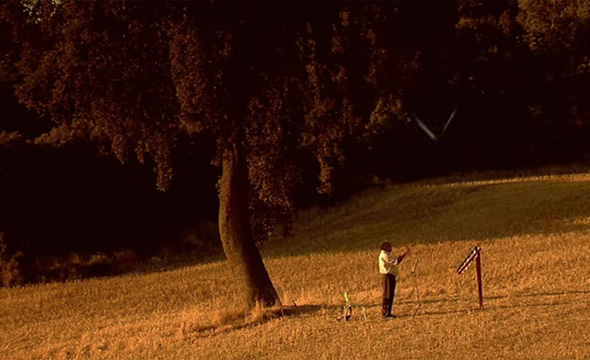 LA ORQUESTA DE LAS MARIPOSAS
